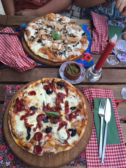 Kırmızı Ardıç Kuşu