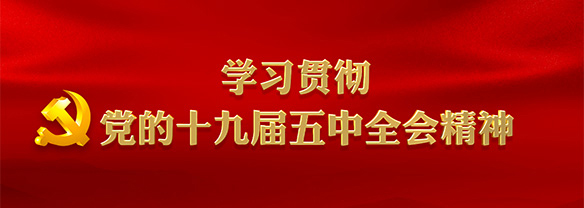 学习贯彻党的十九届五🐧🐧金刚彩票乐app下载入口全会精神