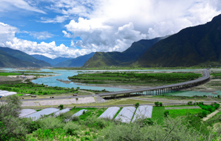🐧🐧KINGKONG彩票官方正版平台「金蛇纳福」刮刮乐